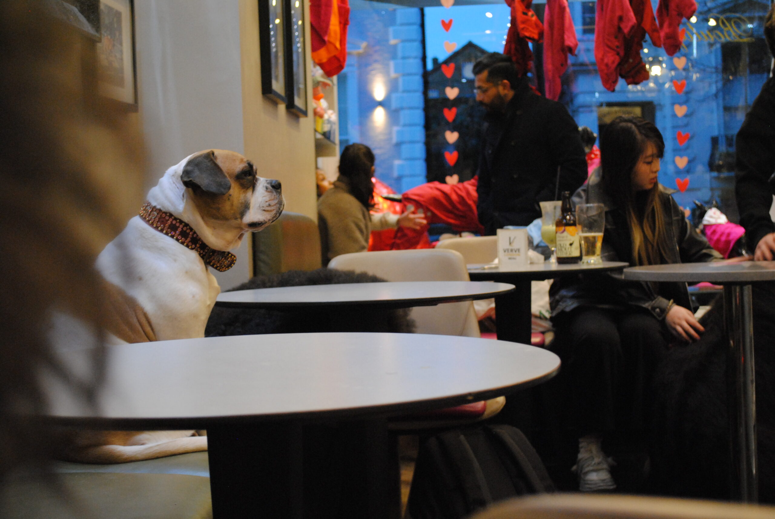 ​​Les Londoniens sont-ils toutou much ?